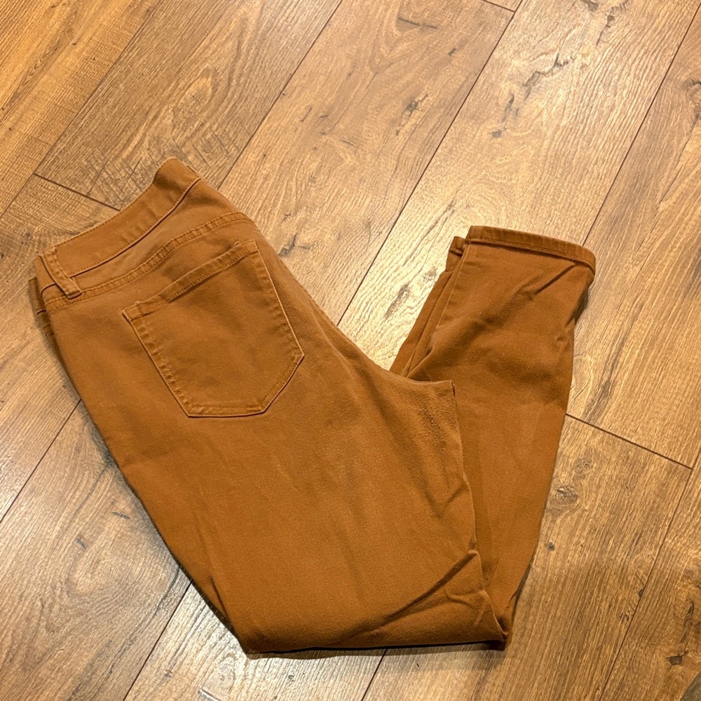 Lane Bryant Skinny Jeans -16